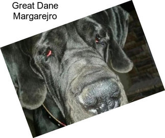 Great Dane Margarejro