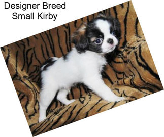 Designer Breed Small Kirby