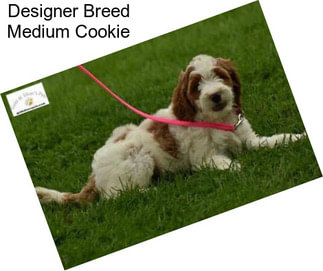 Designer Breed Medium Cookie