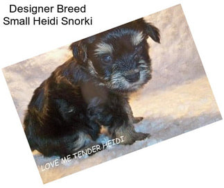 Designer Breed Small Heidi Snorki