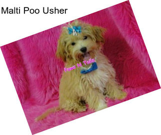 Malti Poo Usher