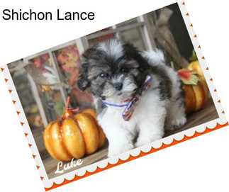 Shichon Lance