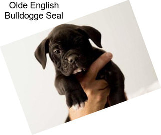 Olde English Bulldogge Seal