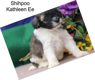 Shihpoo Kathleen Ee