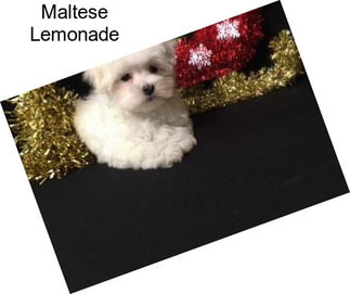 Maltese Lemonade