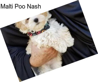 Malti Poo Nash