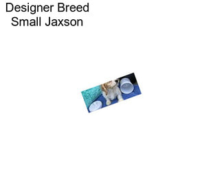 Designer Breed Small Jaxson