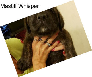 Mastiff Whisper