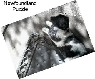 Newfoundland Puzzle
