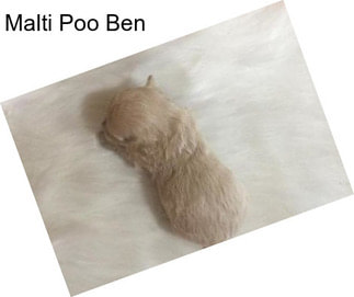 Malti Poo Ben