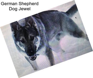 German Shepherd Dog Jewel