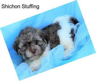 Shichon Stuffing