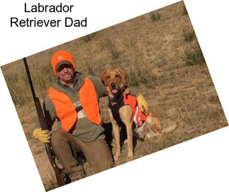 Labrador Retriever Dad