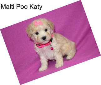 Malti Poo Katy