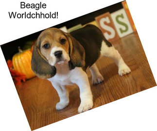 Beagle Worldchhold!