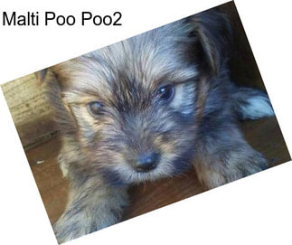 Malti Poo Poo2