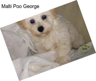 Malti Poo George