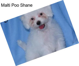 Malti Poo Shane