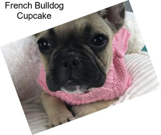 French Bulldog Cupcake