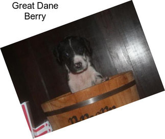 Great Dane Berry