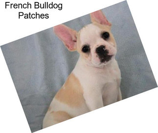 French Bulldog Patches