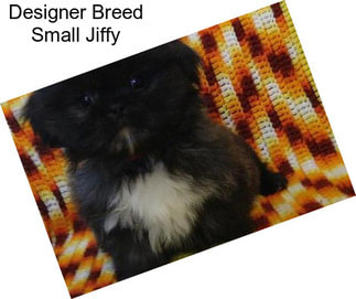 Designer Breed Small Jiffy