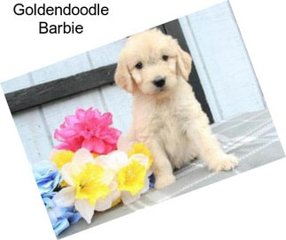 Goldendoodle Barbie