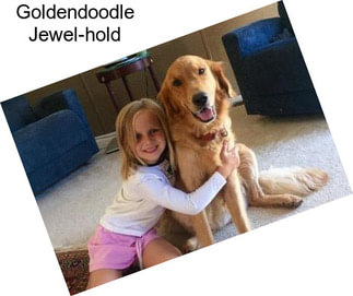 Goldendoodle Jewel-hold