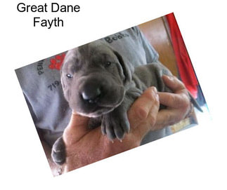 Great Dane Fayth