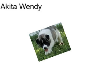 Akita Wendy