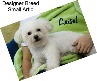 Designer Breed Small Artic