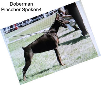 Doberman Pinscher Spoken4