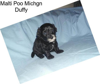 Malti Poo Michgn Duffy