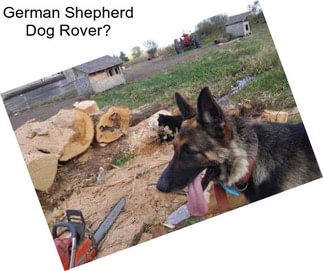 German Shepherd Dog Rover?