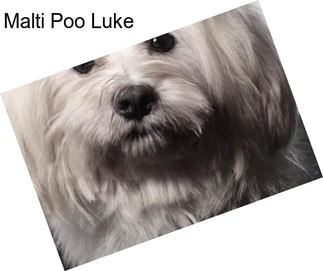 Malti Poo Luke