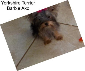 Yorkshire Terrier Barbie Akc