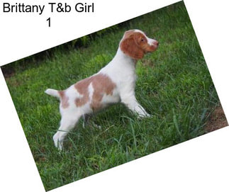 Brittany T&b Girl 1