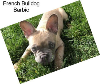 French Bulldog Barbie