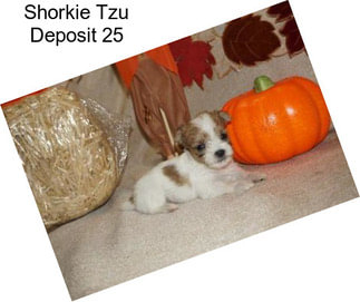 Shorkie Tzu Deposit 25