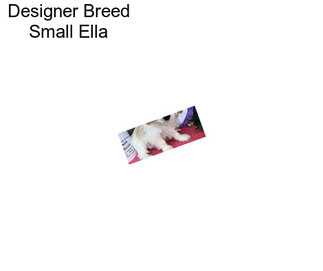 Designer Breed Small Ella