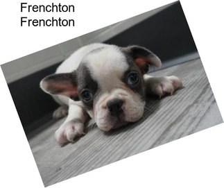 Frenchton Frenchton