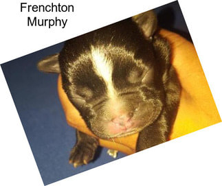 Frenchton Murphy