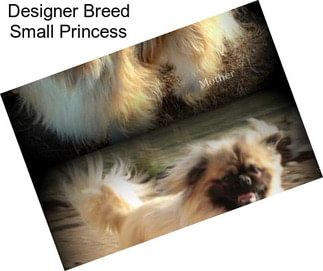 Designer Breed Small Princess