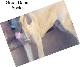 Great Dane Apple