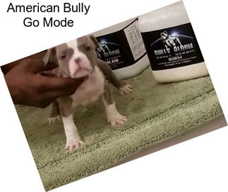 American Bully Go Mode