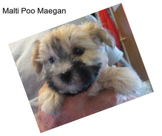 Malti Poo Maegan