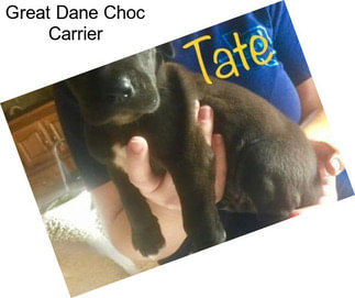 Great Dane Choc Carrier