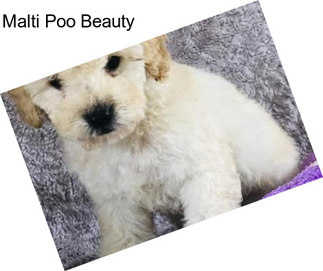 Malti Poo Beauty