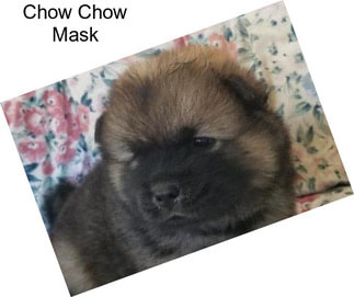 Chow Chow Mask