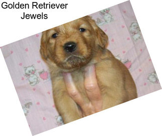 Golden Retriever Jewels